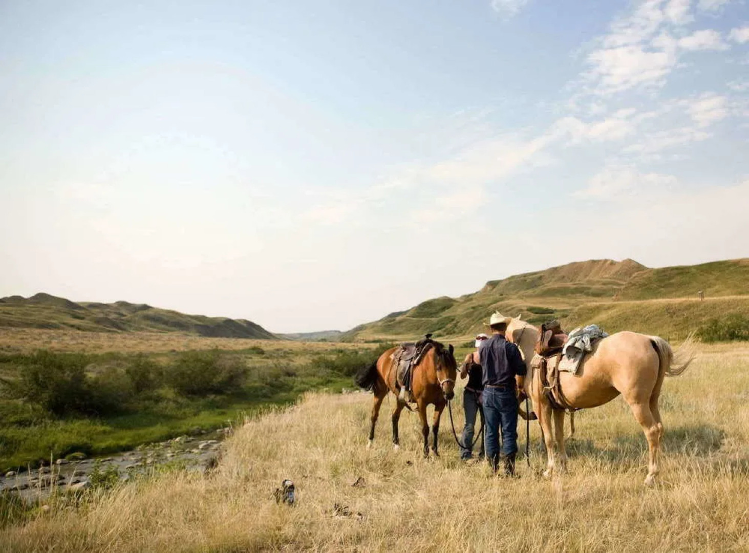 The Wilderness Way Adventure Resort