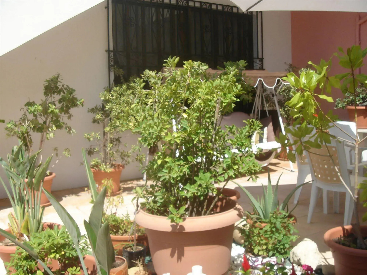 Iliaktida Apartments