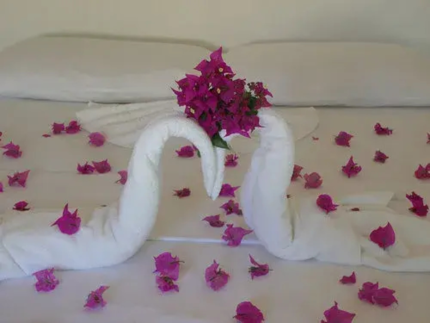 Pousada Luar de Imbassay