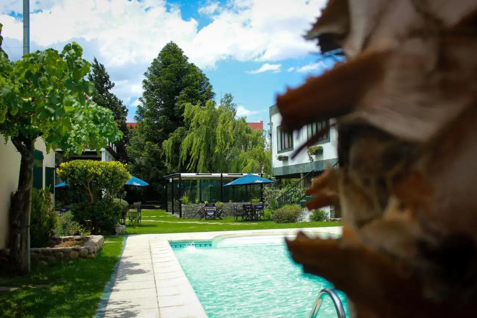 Hotel Los Sauces Cafayate