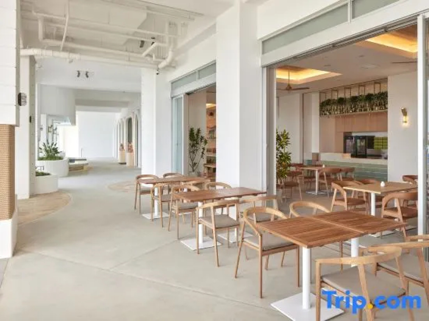 The Senagajima Storyline