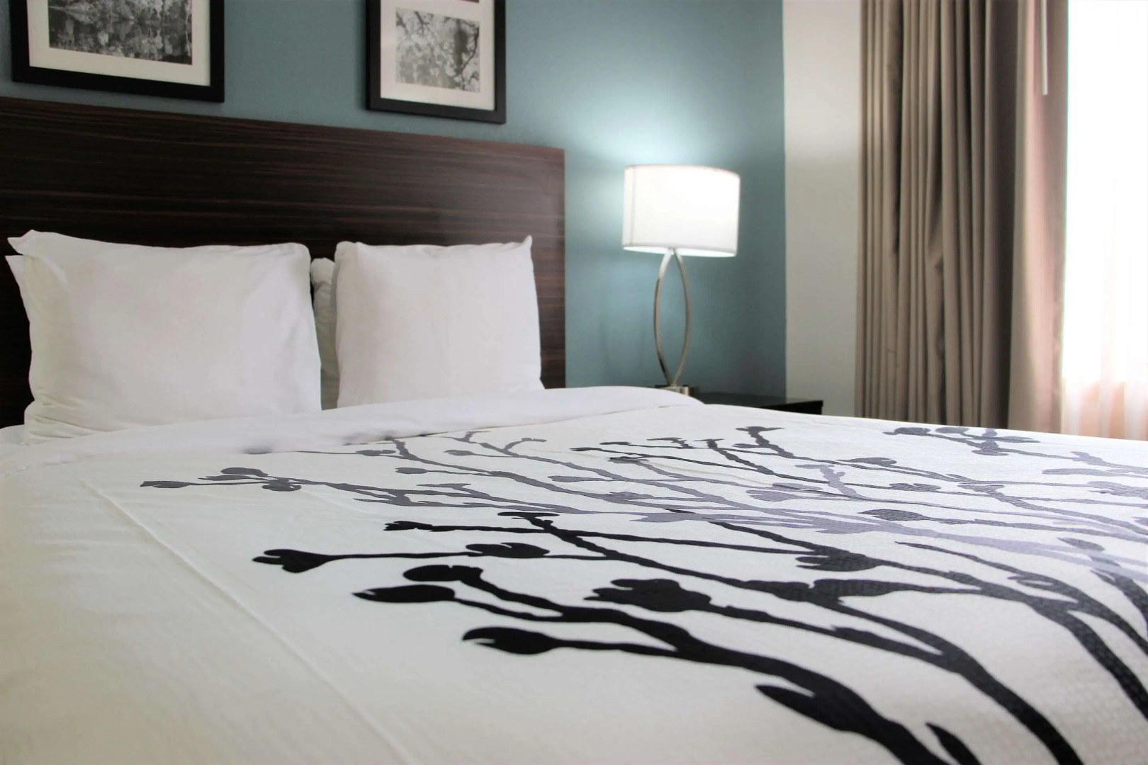 Sleep Inn Chattanooga Hamilton Place