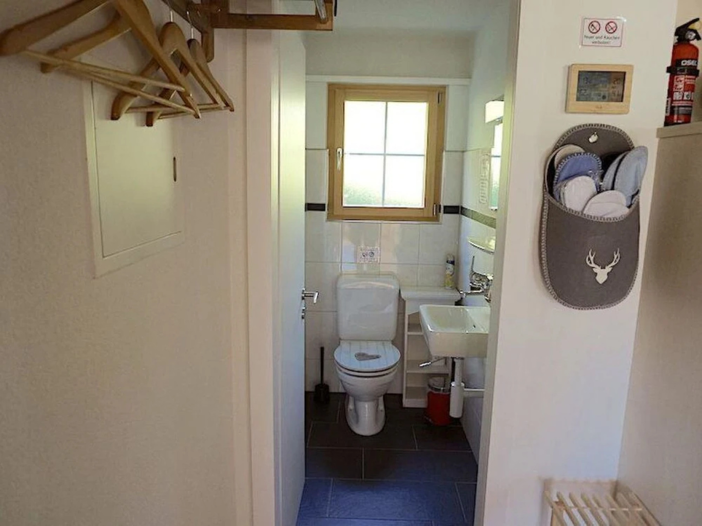 Rinderblick Zweisimmen