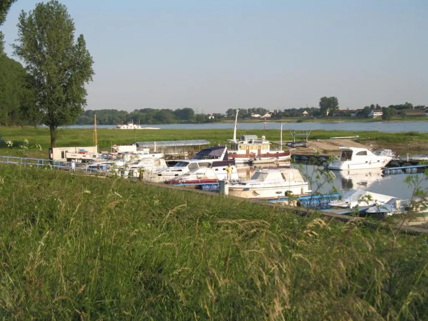 RheinRiver Guesthouse - Direkt am Rhein