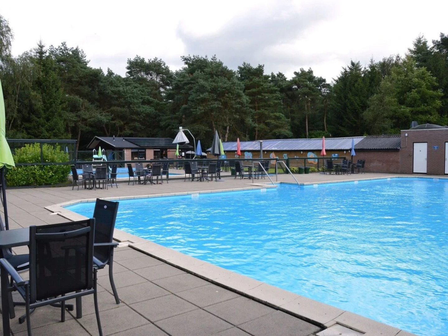 Charming Holiday Home in Overijssel by the Forest