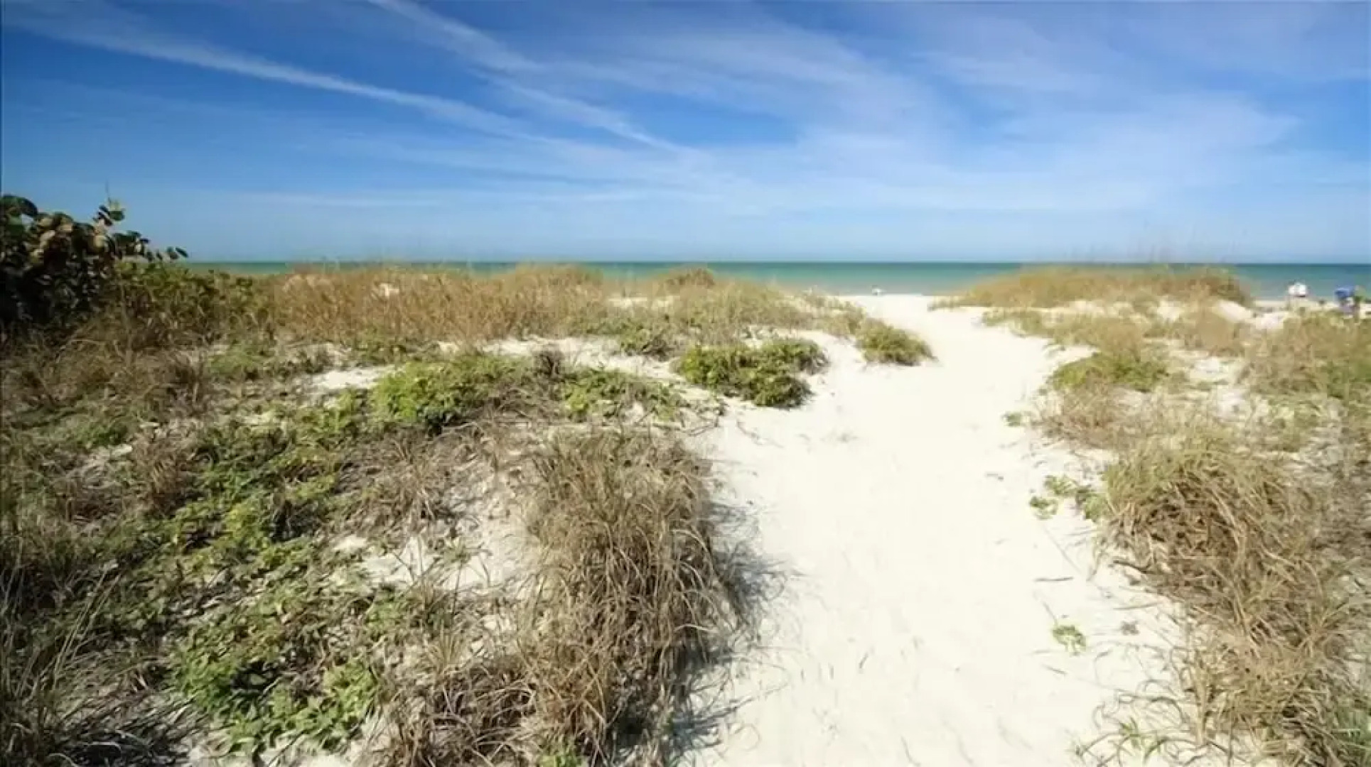 Hamilton 206 2 Br condo by RedAwning