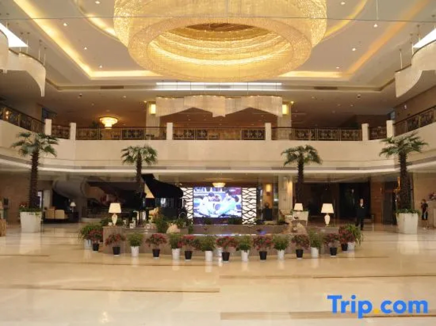 Zaoyuan Hotel - Yanan