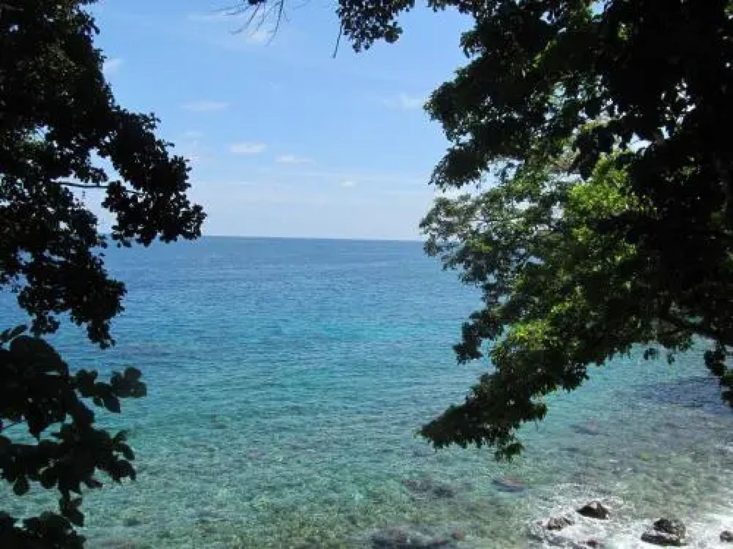 Treetop Guesthouse and Bungalows