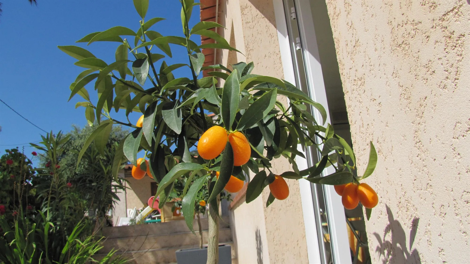 Résidence Saint Michel