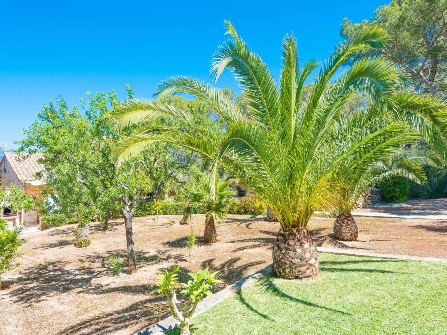 CA NA BARBARA - Villa for 8 people in Santa Maria del Camí.