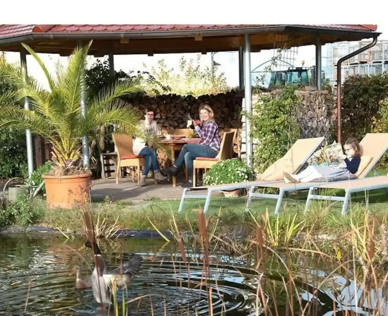 Vakantiewoning in Zwarte Woud