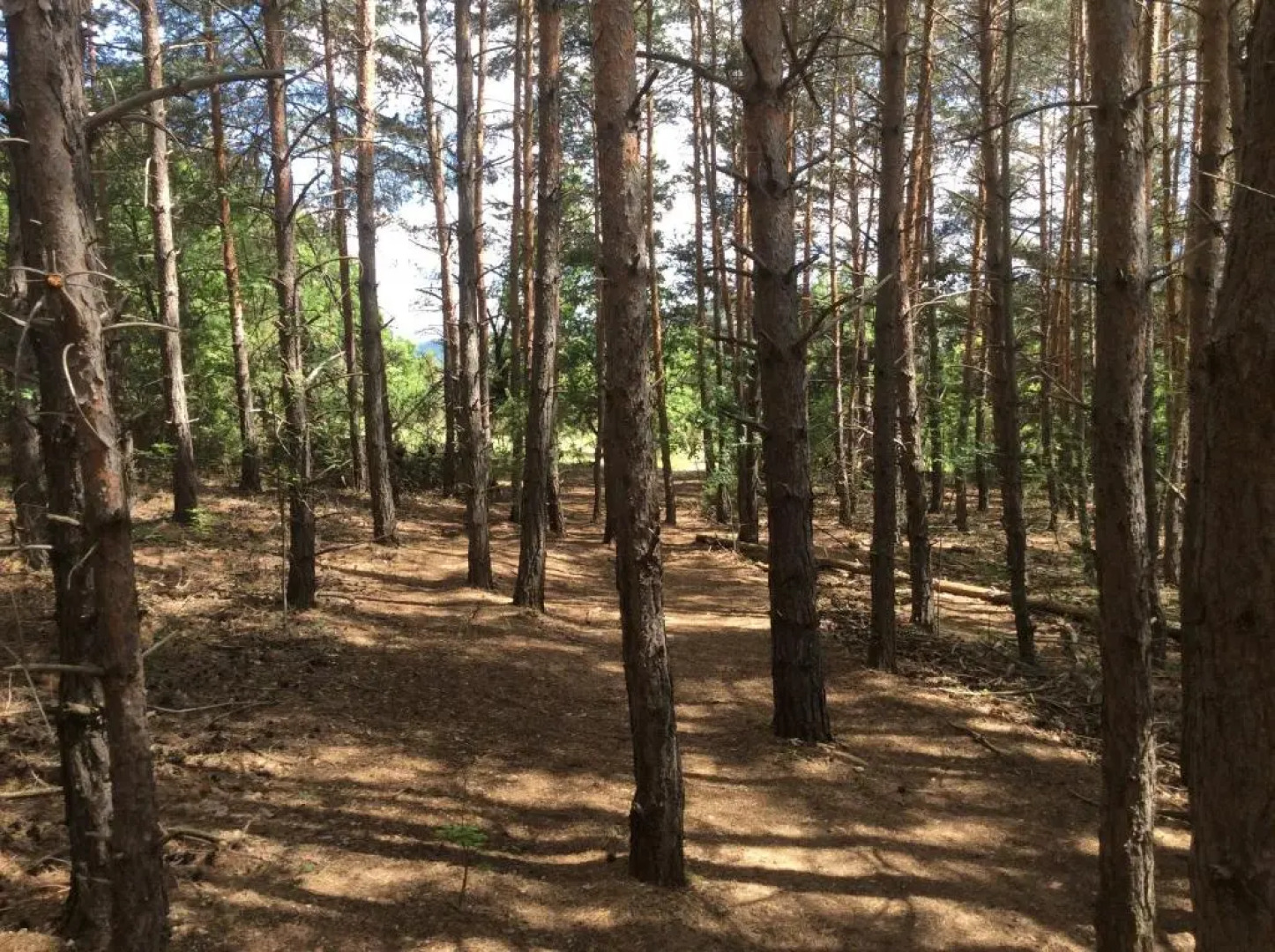 da sciuri case vacanza Barisciano