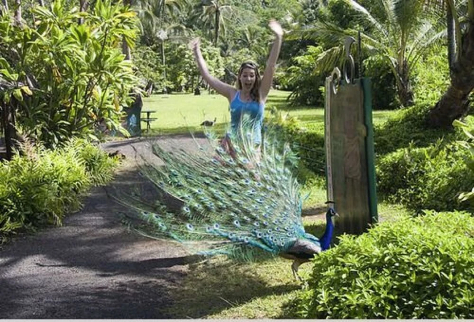 Marjorie's Kauai Inn, a bed and breakfast