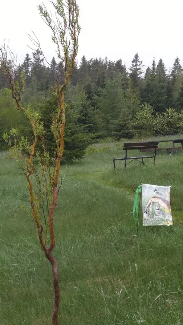 Windsbreath Celebrations and Retreats