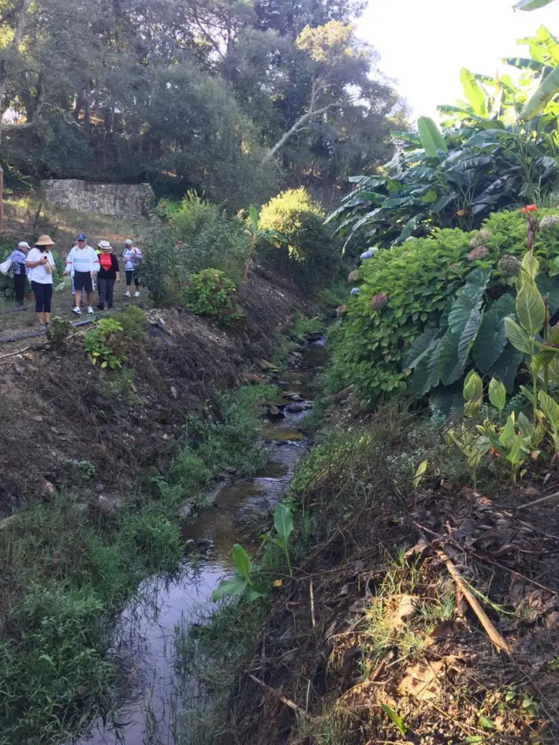 Raminhos Guest House