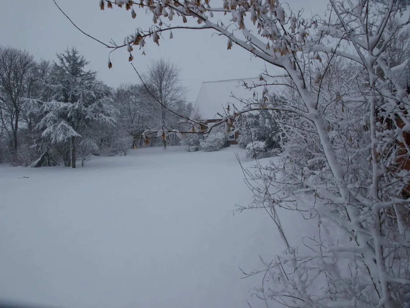 NH Hotel & Konference