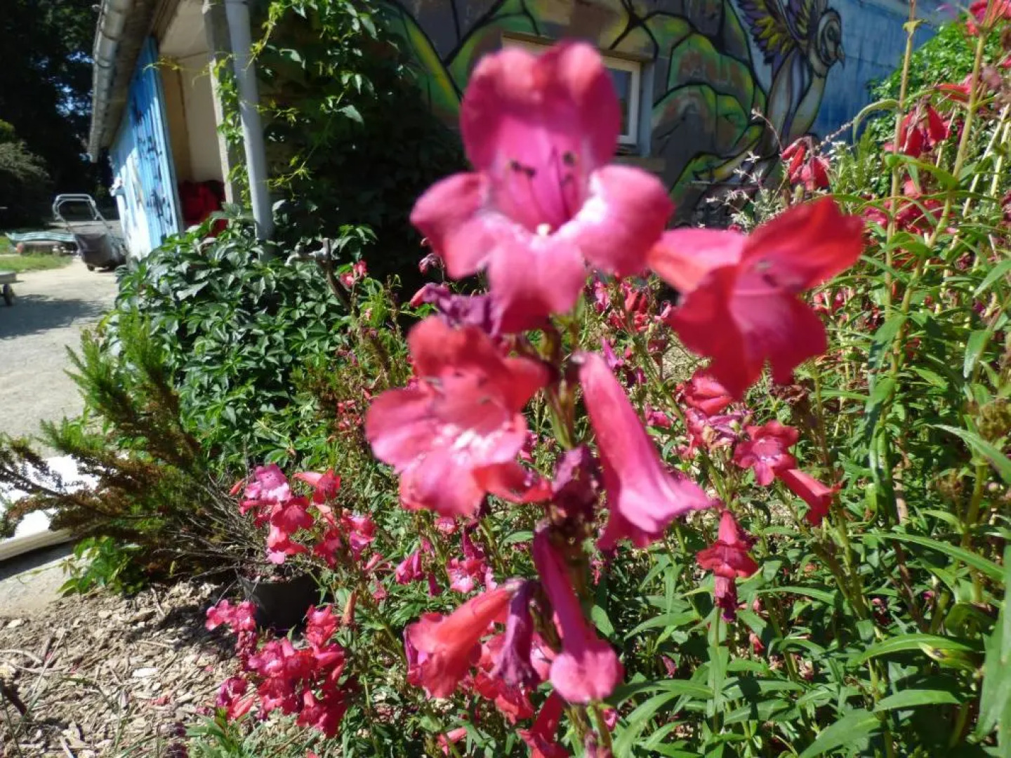 Chambres Dhotes Au Pied Leve