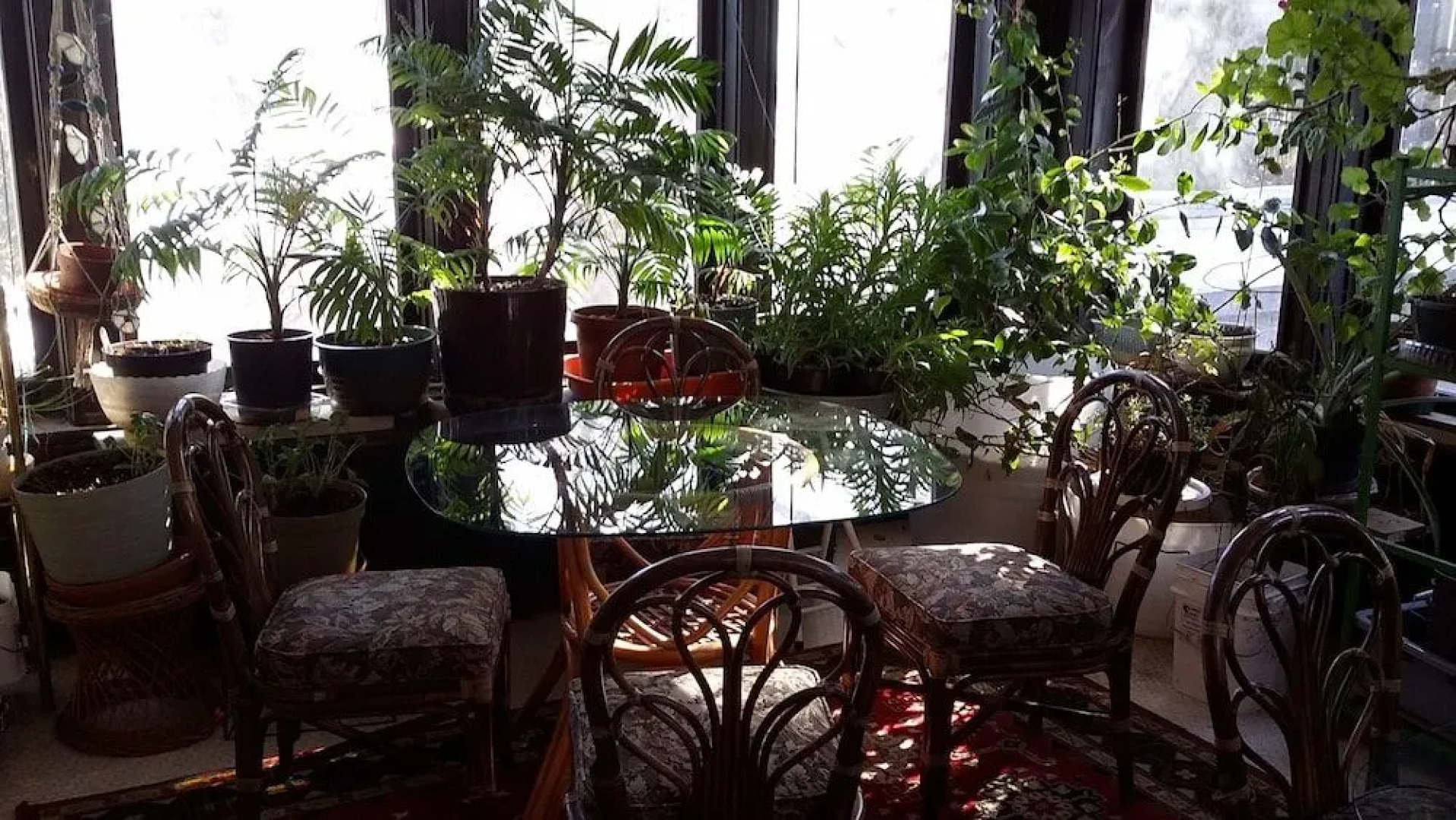 Chestnut Charm Bed & Breakfast