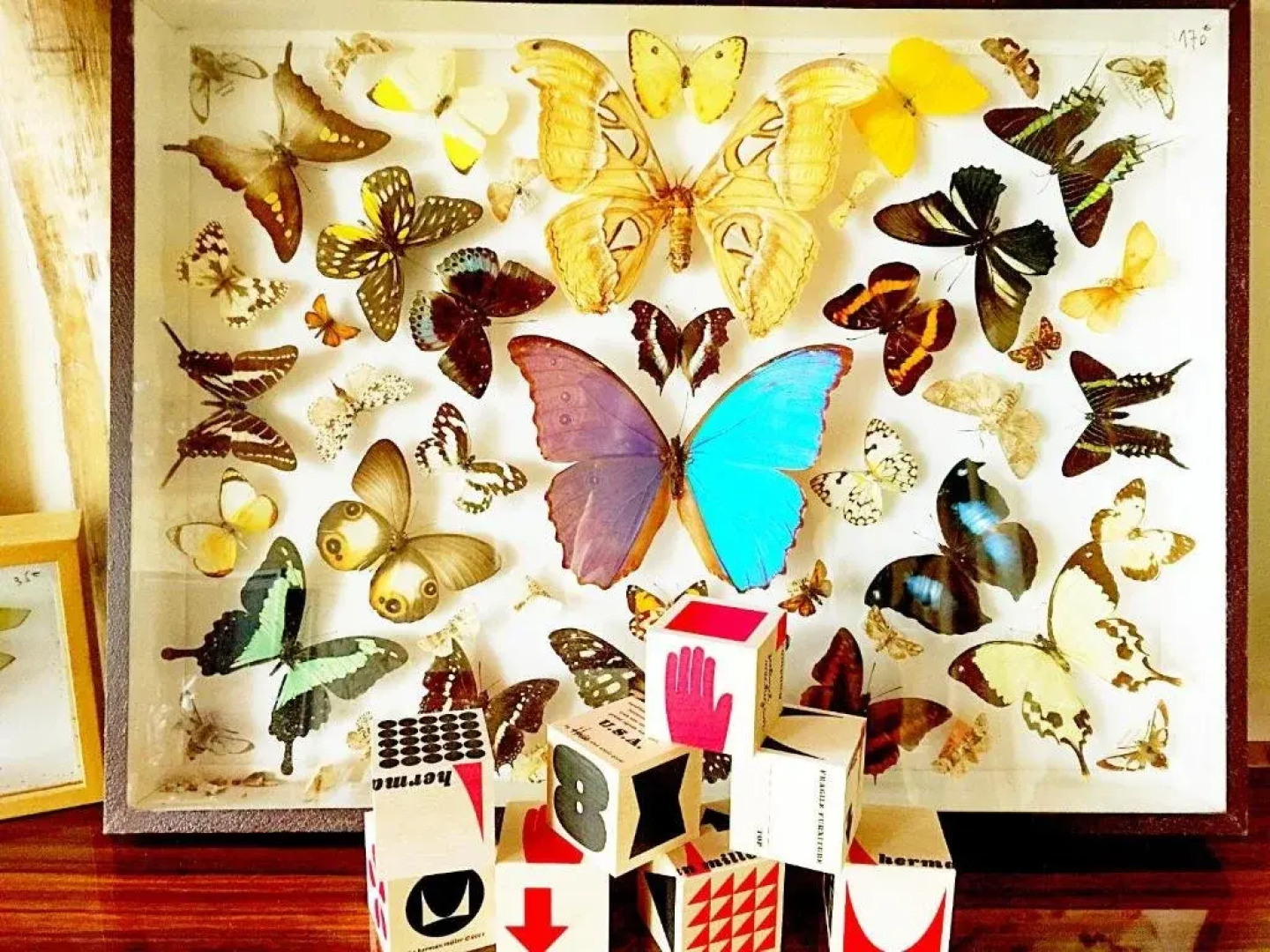 Yuanshe Reclusive Moganshan