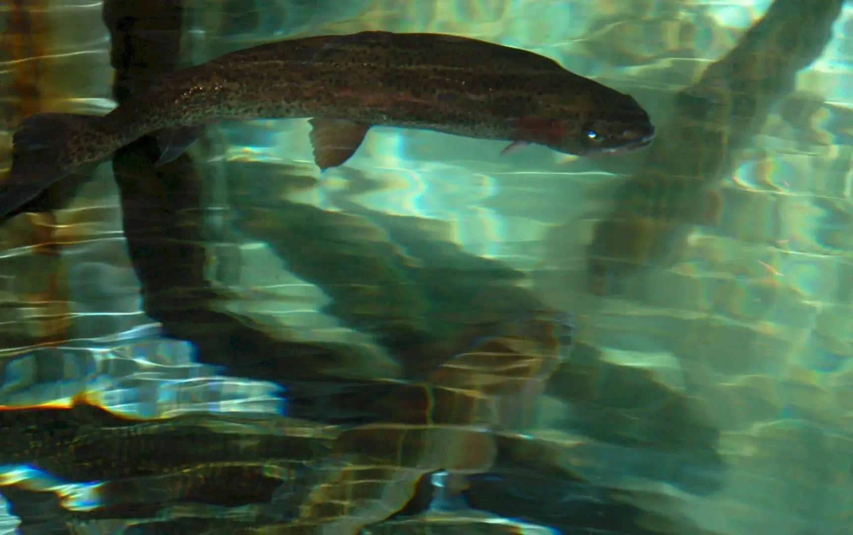 Hôtel des Deux Forts