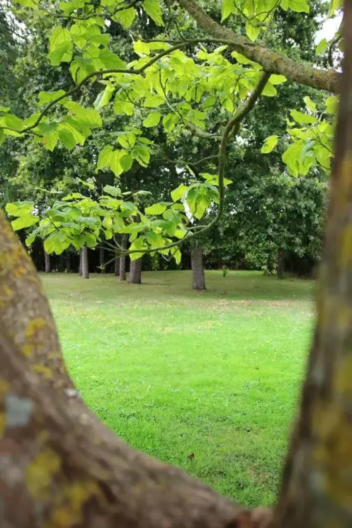 Maison de 2 chambres avec jacuzzi jardin clos et wifi a Sains