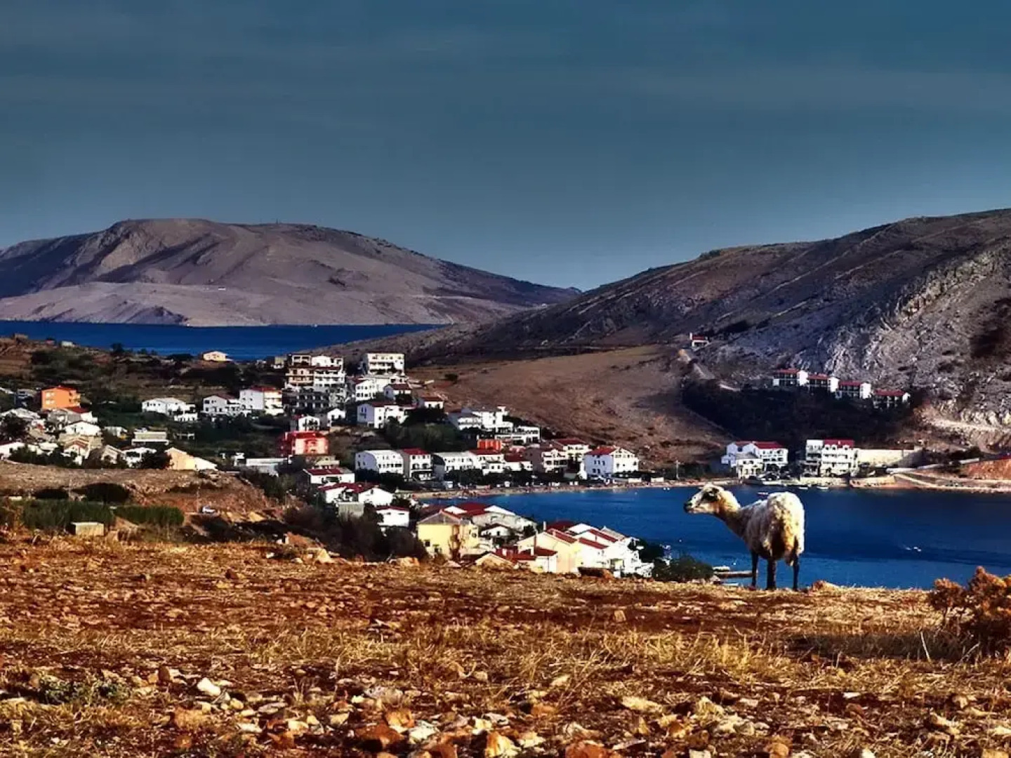 Quaint Holiday Home in Metajna With Terrace