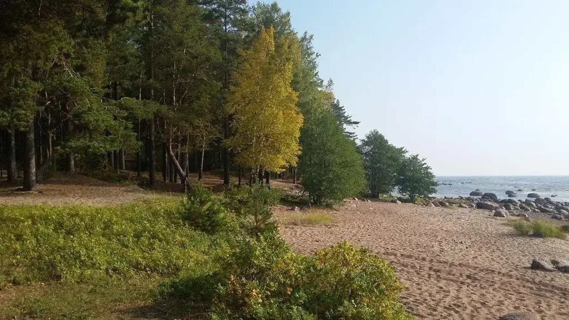 Smolyachkovo Guest house