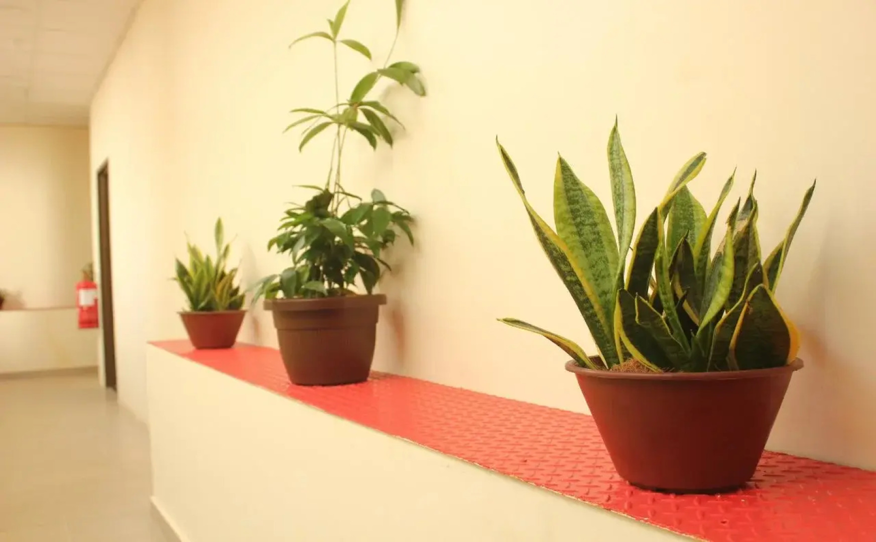 Paretto Seaview Hotel