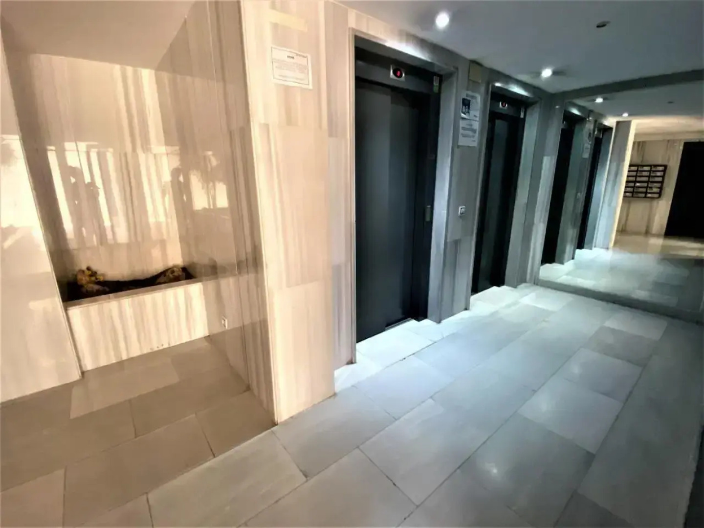 A35 - Tamarindo - 2004 Finestrat s.l.