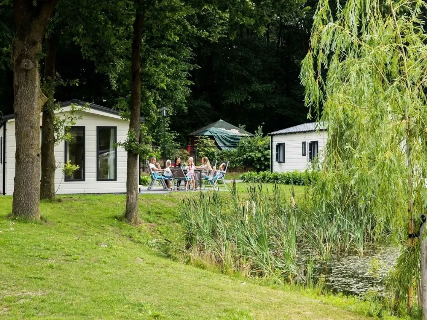 Chalet With Wifi, Within Nature of De Veluwe