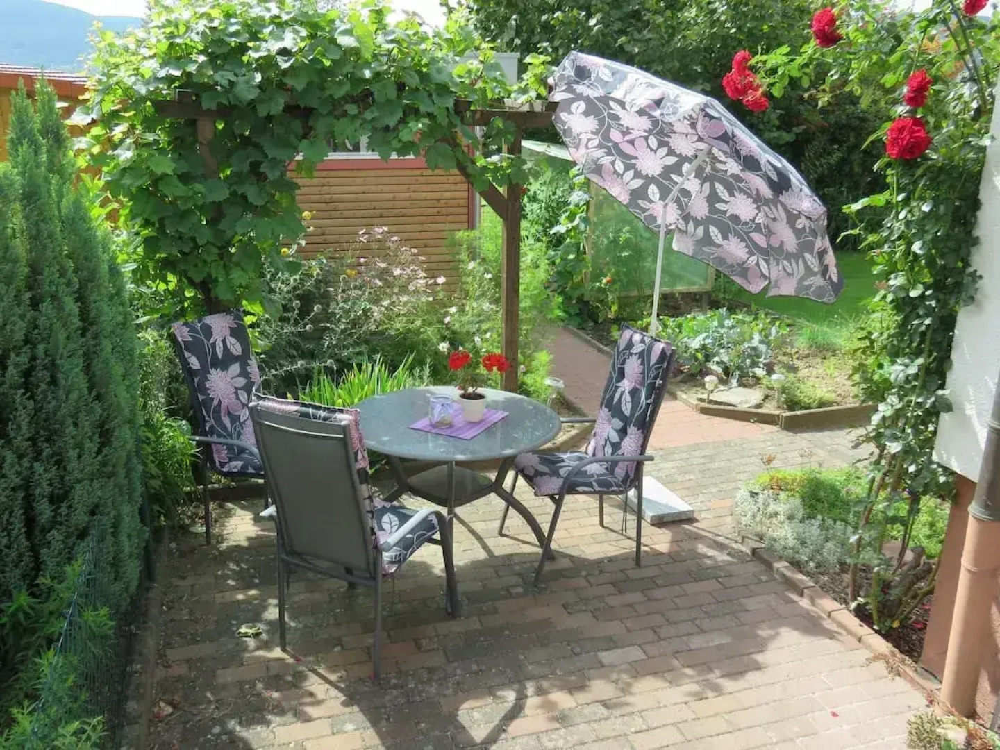 Ferienwohnungen Haus Albert