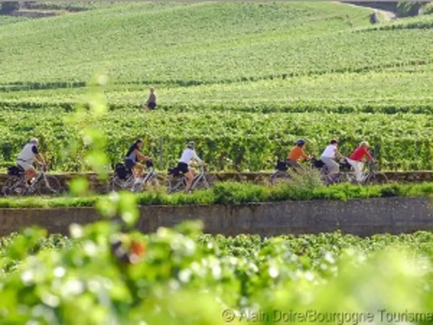 House With 3 Bedrooms in Cormot-le-grand, With Enclosed Garden and Wif