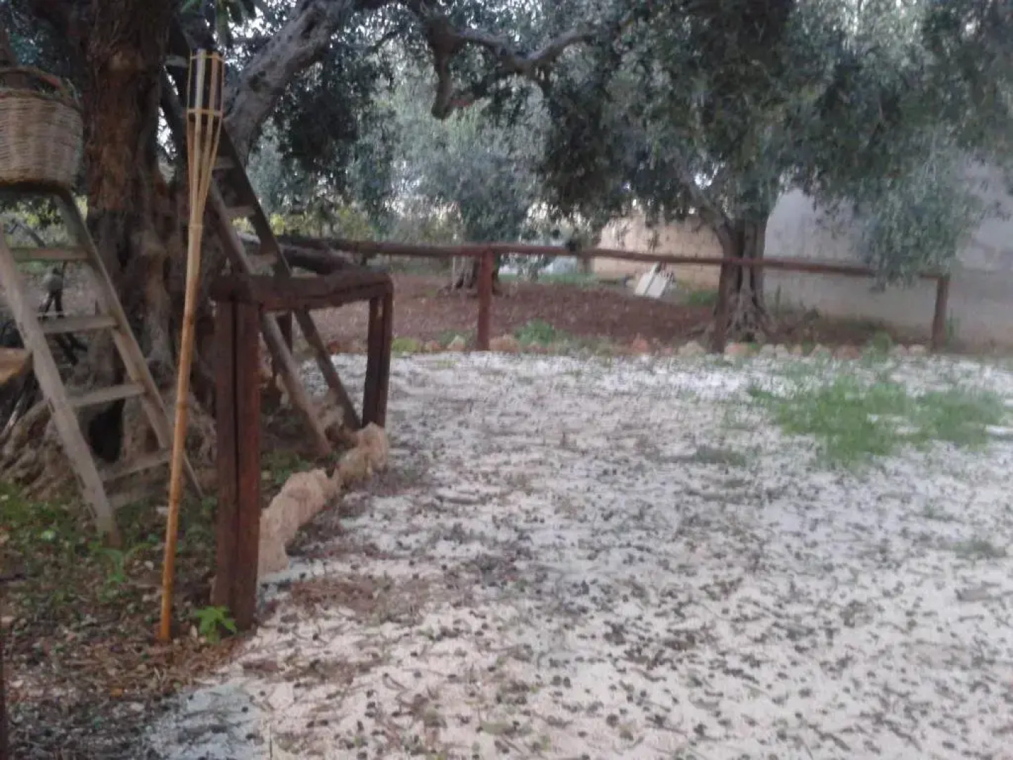 Casa Vacanze Fior Di Loto