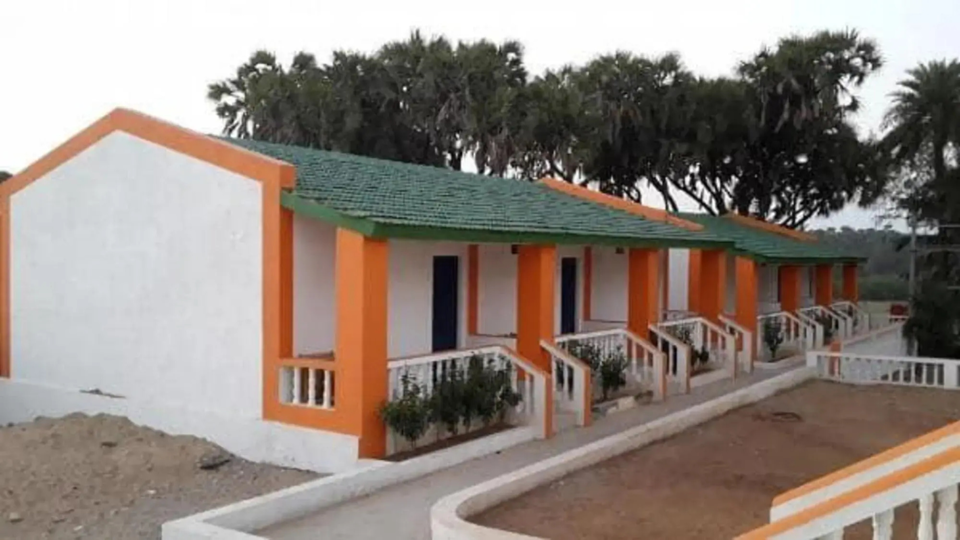 Hotel Palms