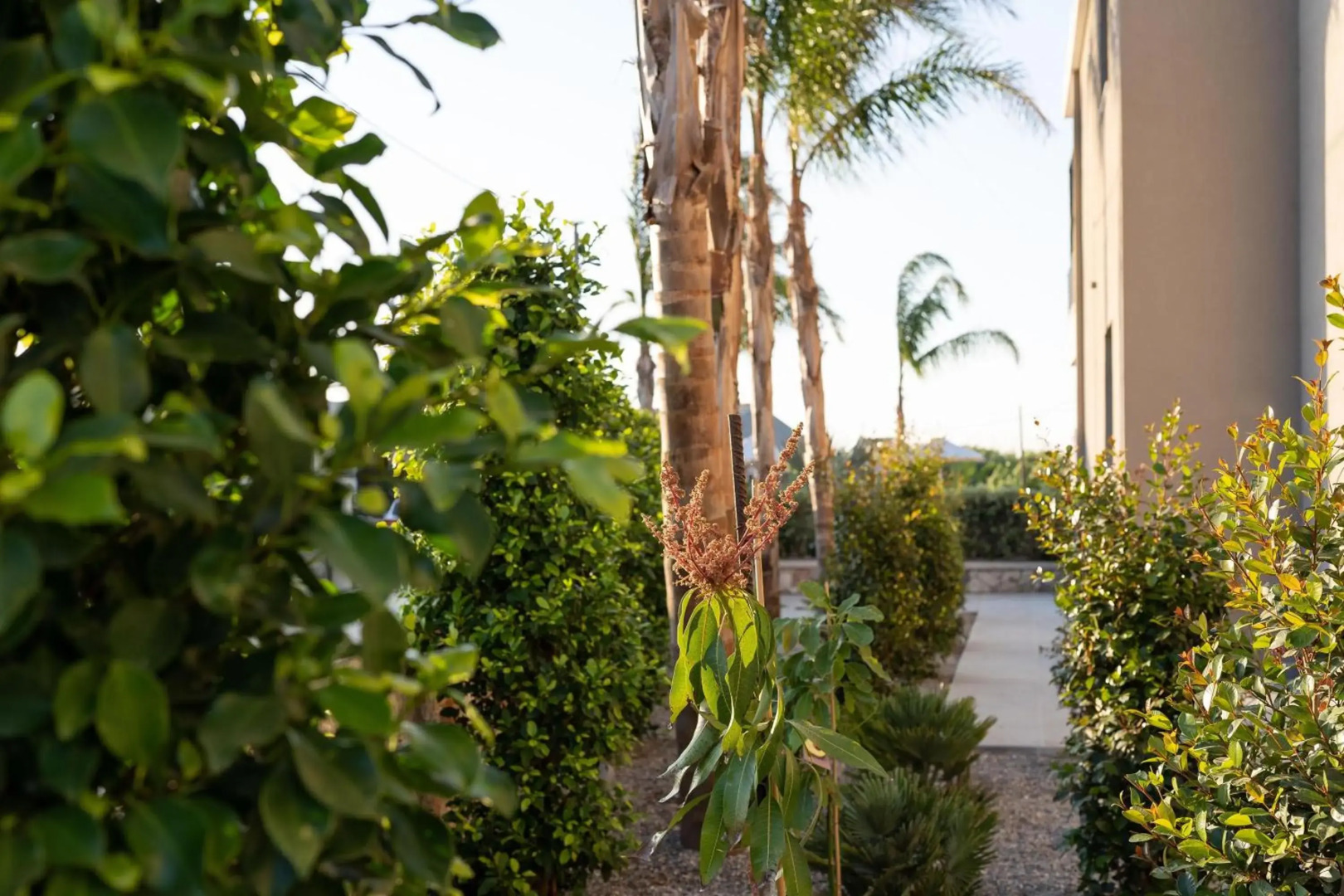 Palmeral Luxury Suites