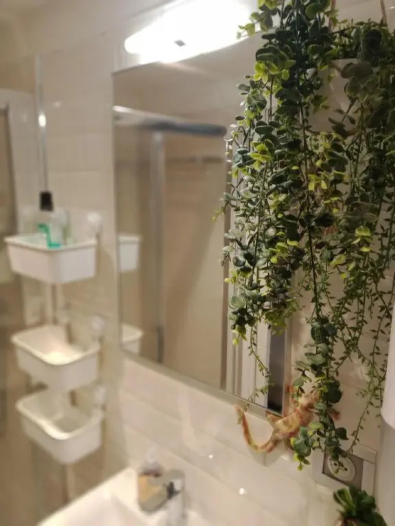 Villa Mandarine apartment No 2