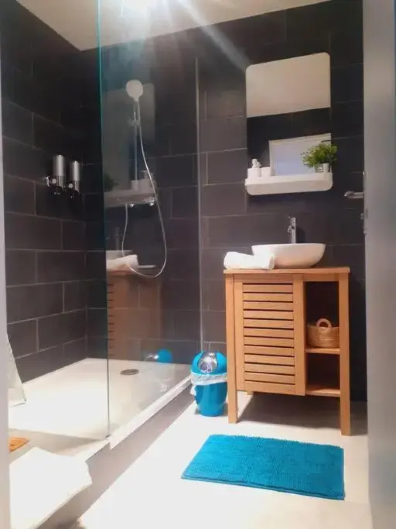 Zarlor magnifique t2 rénové proche clinique