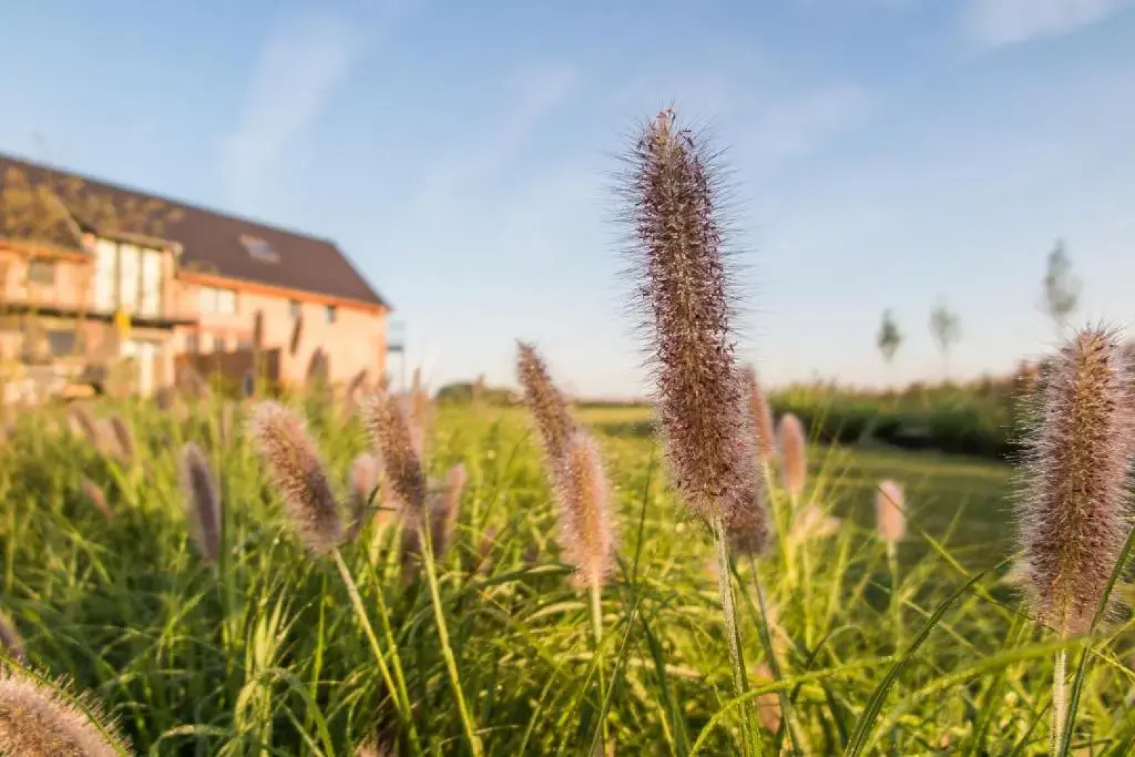 Vakantiewoningen Eyndevelde