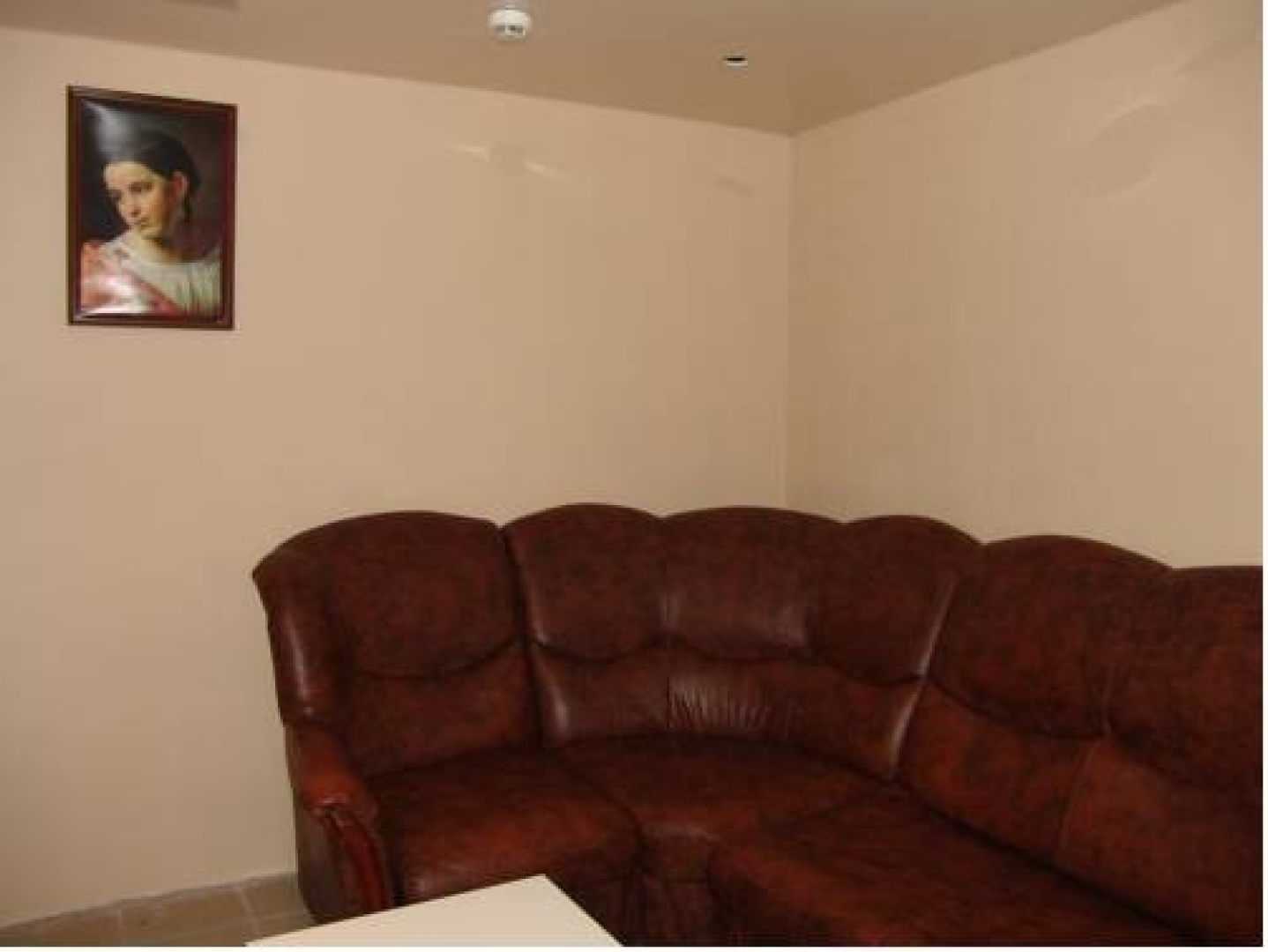 Меблированные комнаты Снегири