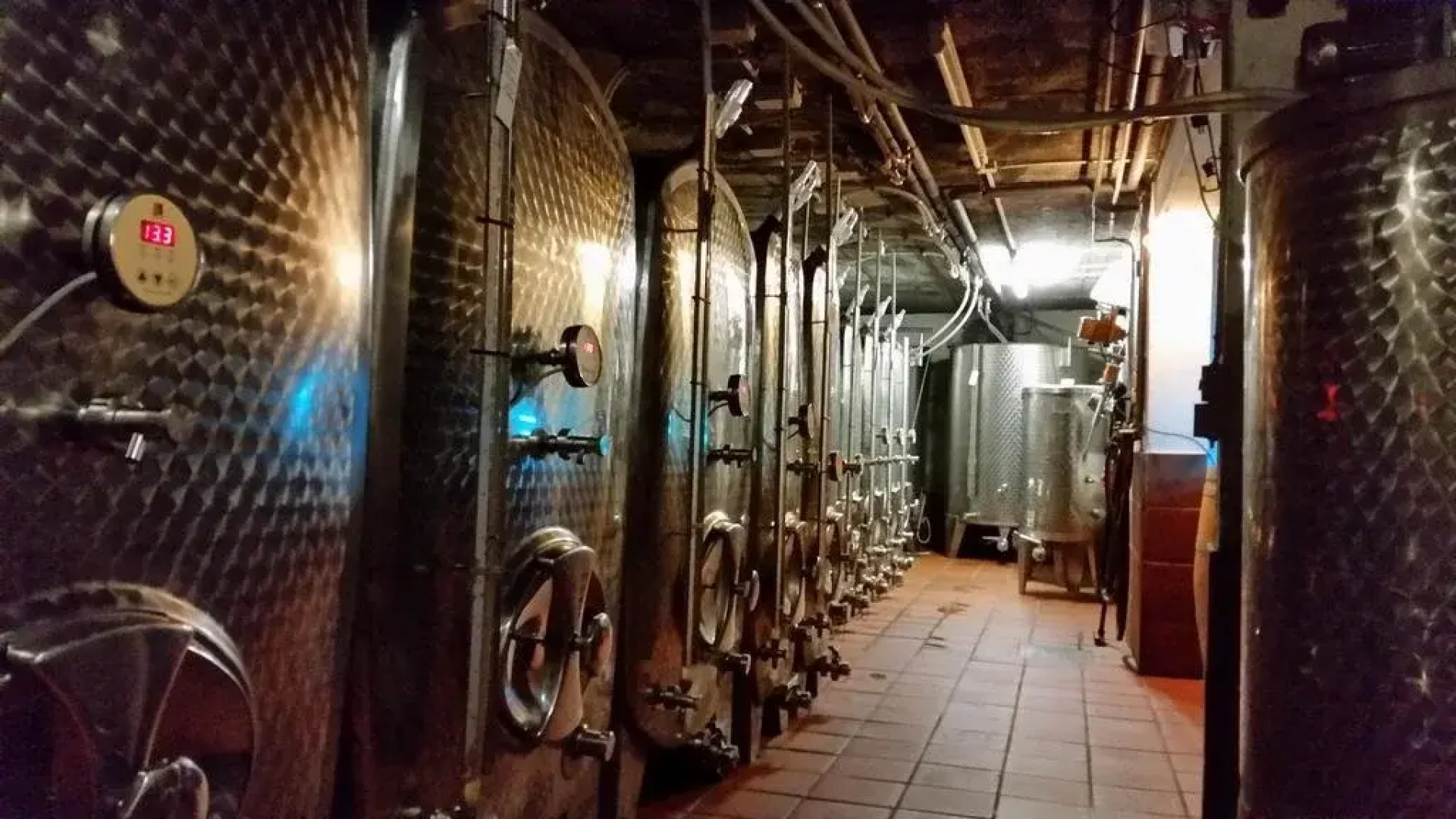 Weingut Knodt-Trossen