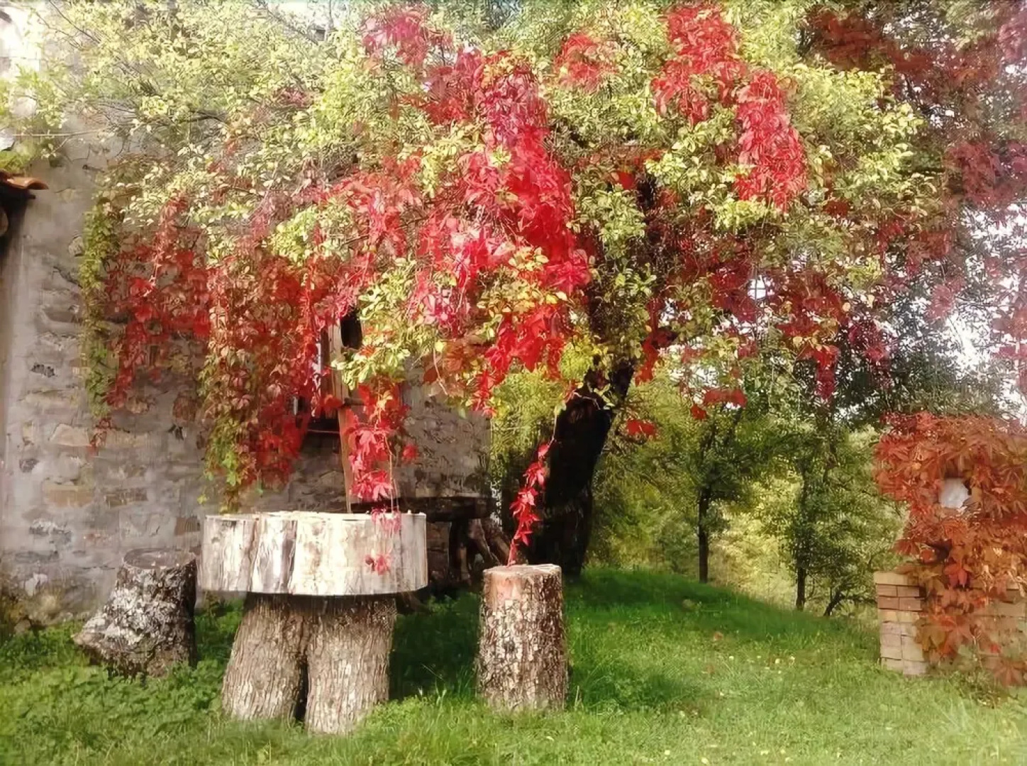 Rifugio Aquila Verde