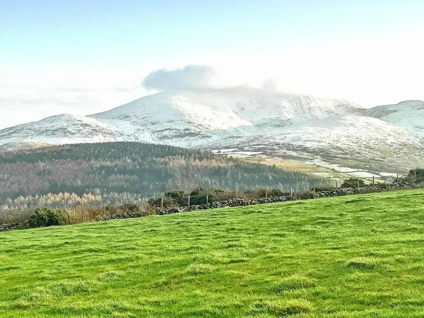 Tollymore Luxury log cabins