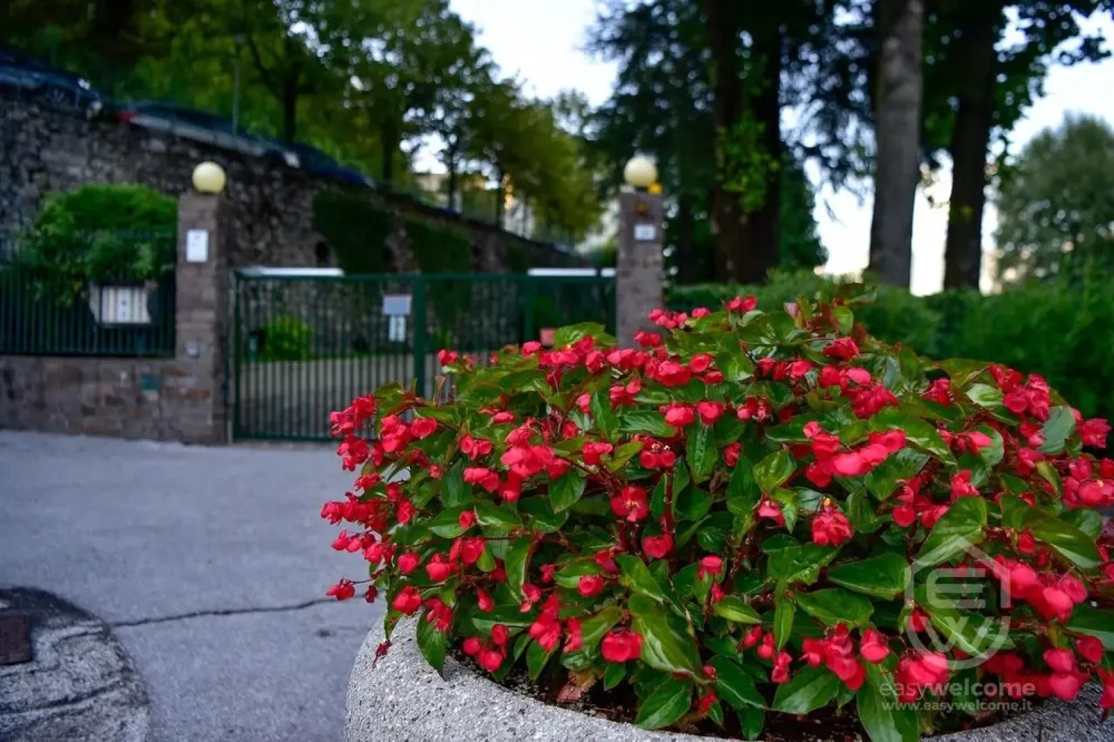 Easy Welcome Kosmopolitan