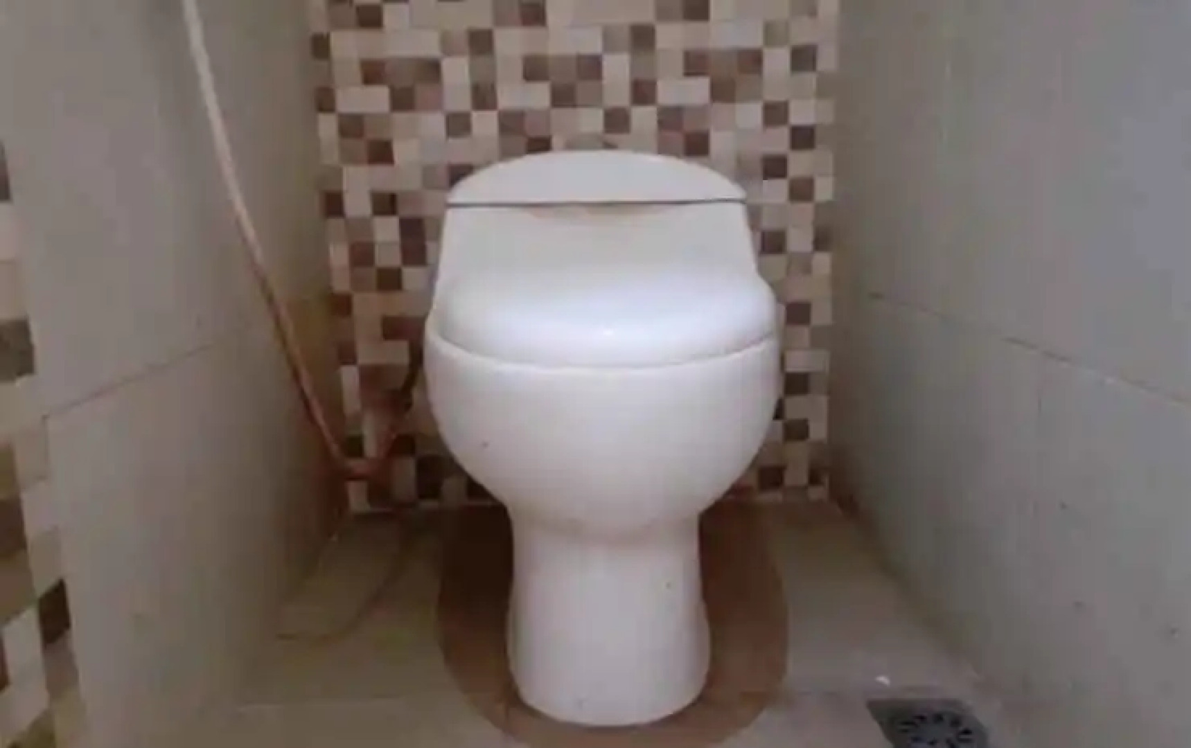 OYO 3111 The Patung Kuda