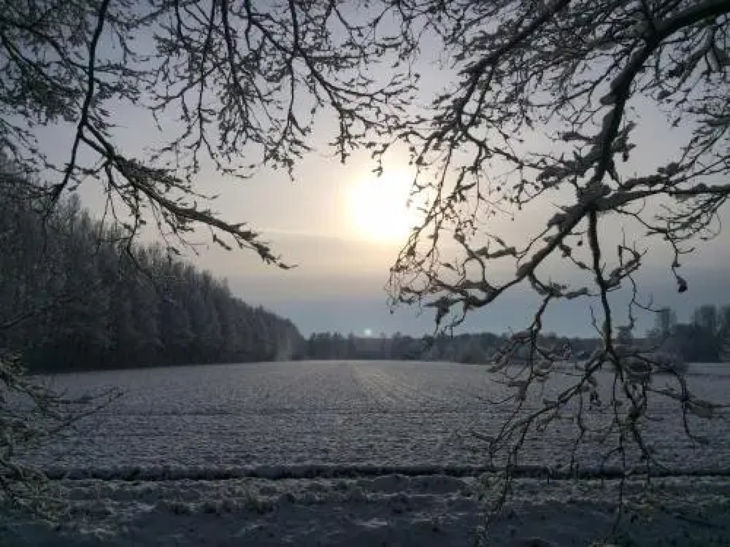 Ferienwohnungen direkt am Wasser