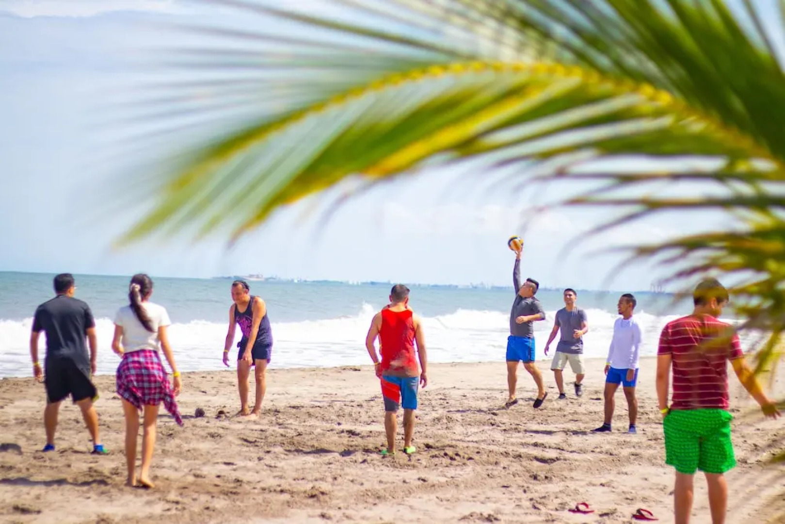 Palmazul - Viña del Mar
