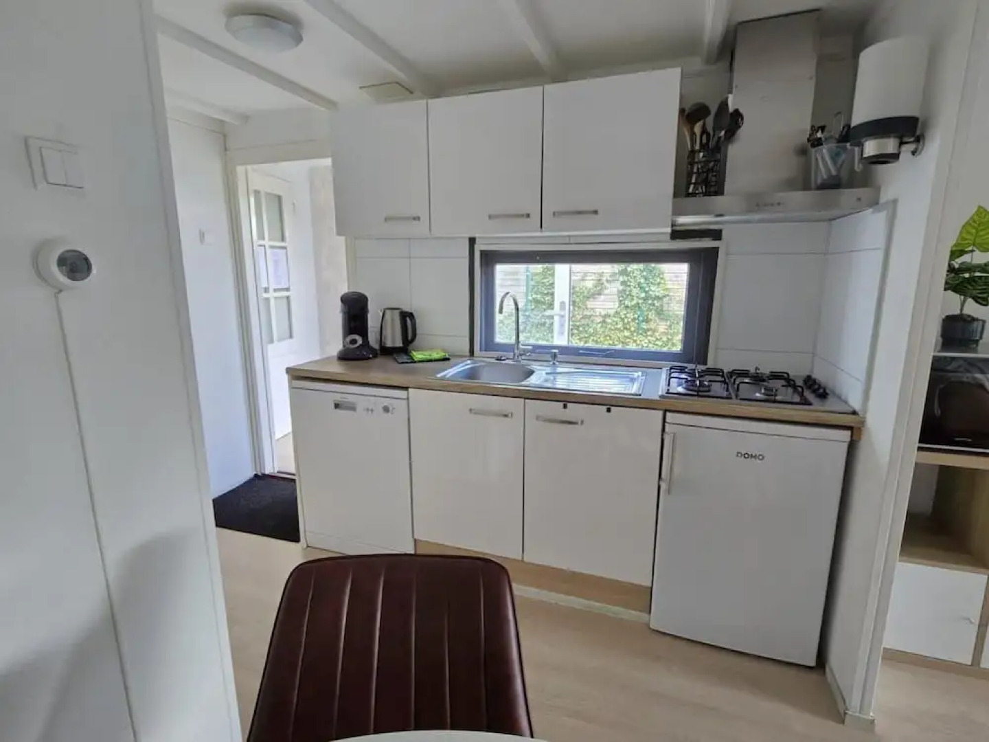 Home in the Dancing Forest