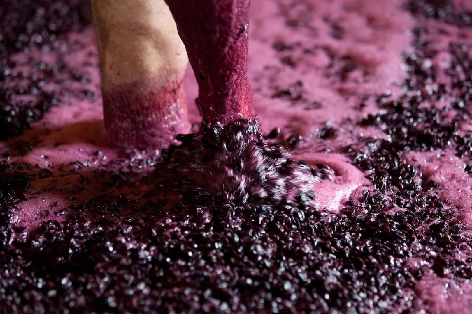 QUINTA DA FAISCA - Agro Turismo