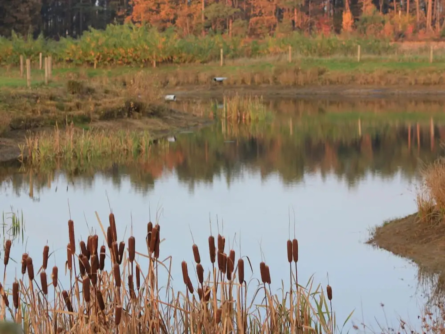 Semi-detached House With a Dishwasher, at 9 km van Slagharen