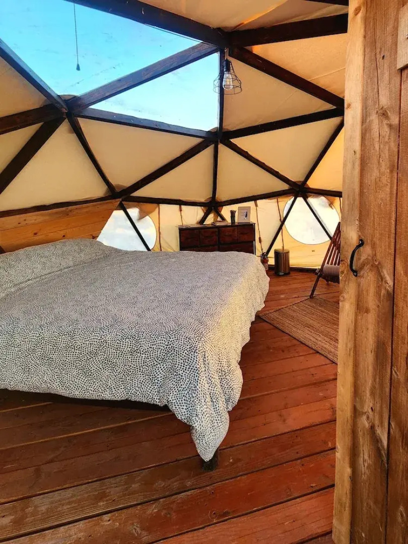 Raptor Ranch Little Owl 1